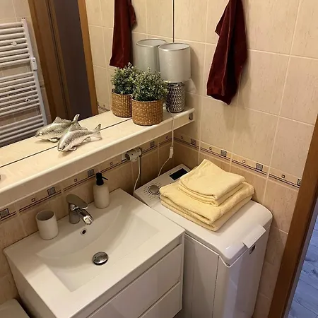 1-bedroom In The Center Of 公寓