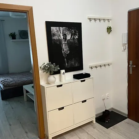 1-bedroom In The Center Of شقة