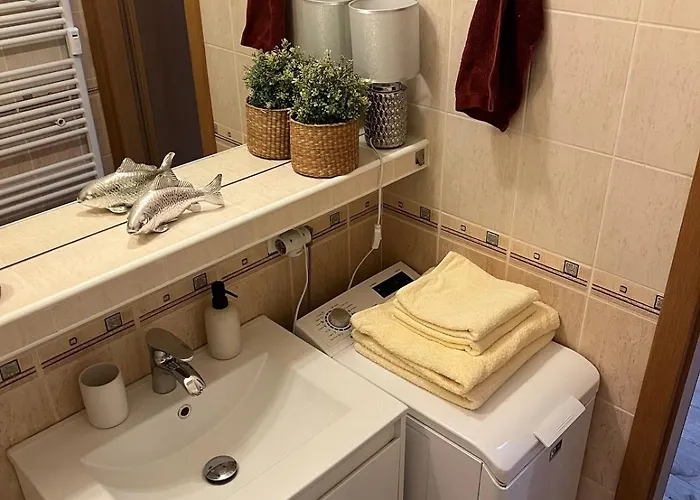 1-bedroom In The Center Of 公寓