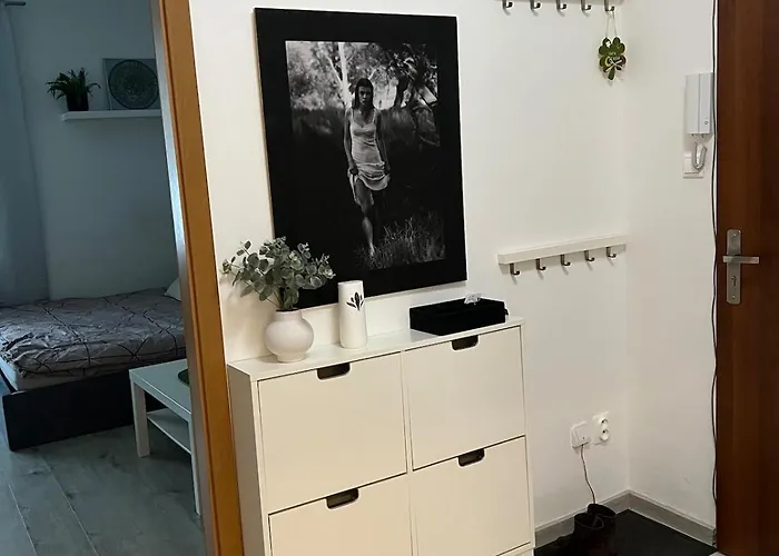 1-bedroom In The Center Of Lägenhet